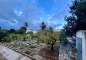 Casa de camp amb terreny en venda a la España, Dolores, ref.: TR381860 foto