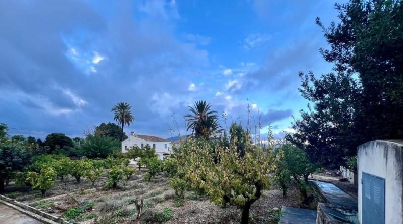 Alicante - Dolores - 260m2