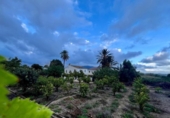 Casa de camp amb terreny en venda a la España, Dolores, ref.: TR381860 foto