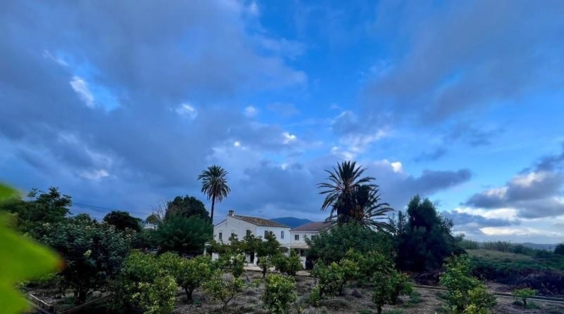 Alicante - Dolores - 260m2
