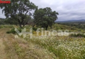 Finca rústica en venda a la España, El Castillo de las Guardas, ref.: TR276097 foto