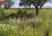 Finca rústica en venda a la España, El Castillo de las Guardas, ref.: TR276097 foto