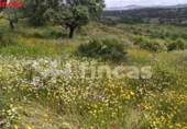 Finca rústica en venda a la España, El Castillo de las Guardas, ref.: TR276097 foto