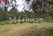 Finca rústica en venda a la España, El Castillo de las Guardas, ref.: TR276097 foto