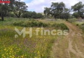Finca rústica en venda a la España, El Castillo de las Guardas, ref.: TR276097 foto