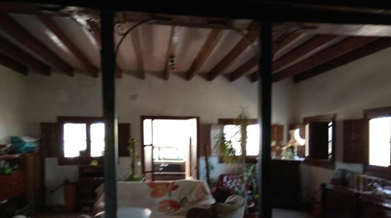 Alicante - Novelda - 10000m2