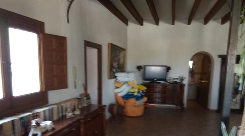 Alicante - Novelda - 10000m2