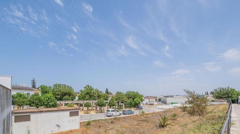 Sevilla - Castilleja de la Cuesta - 1594m2