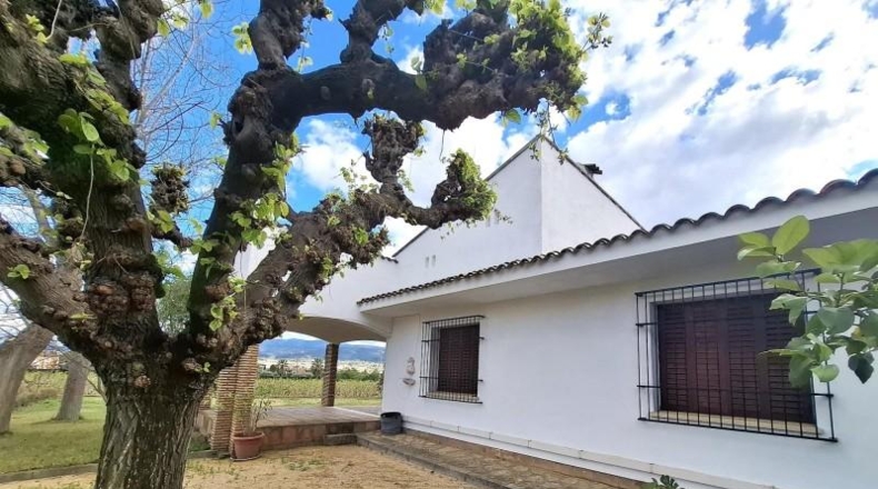 Valencia - Onteniente - 2299m2
