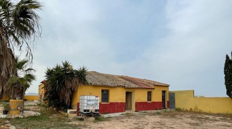 Múrcia - Murcia - 20000m2