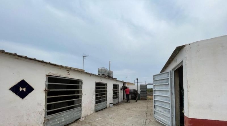 Múrcia - Murcia - 20000m2