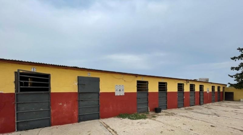 Múrcia - Murcia - 20000m2