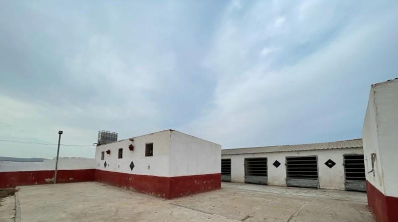 Múrcia - Murcia - 20000m2