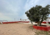 Casa de camp amb terreny en venda a la España, Múrcia, ref.: TR265014 foto