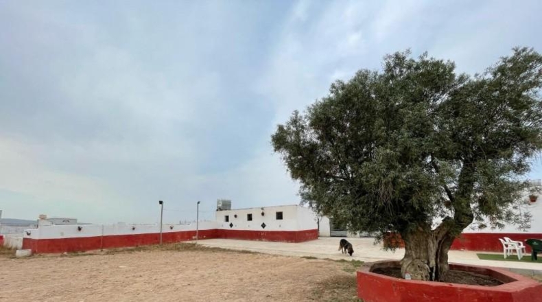 Múrcia - Murcia - 20000m2