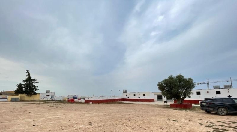 Múrcia - Murcia - 20000m2