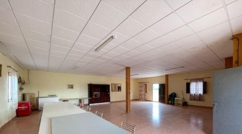 Múrcia - Murcia - 20000m2