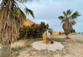 Casa de camp amb terreny en venda a la España, Múrcia, ref.: TR265014 foto