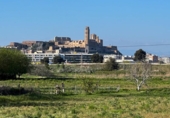 Casa de campo con terreno en venta en la España, Lérida, ref: TR316522 foto