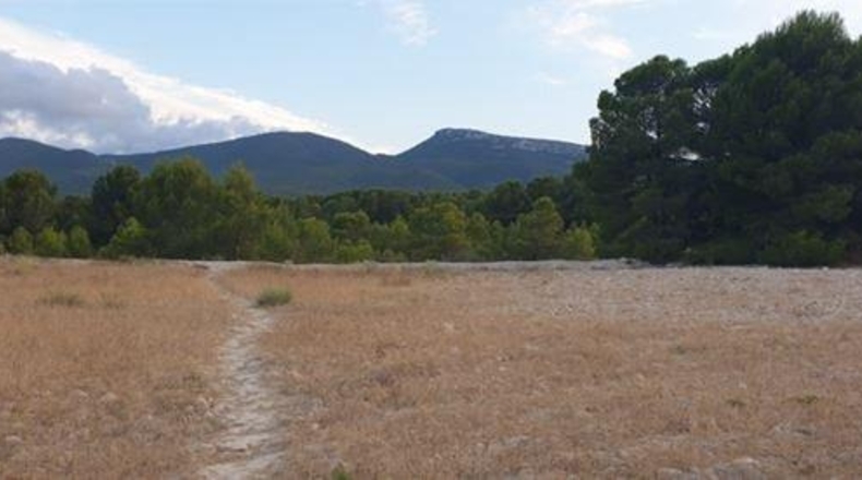 Alicante - Castalla - 240000m2