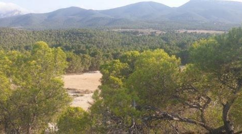 Alicante - Castalla - 240000m2