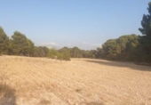 Non-developable land for sale on España, Castalla, ref: TR120681 photo