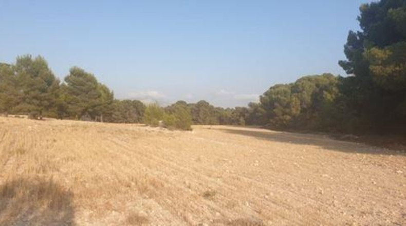 Alicante - Castalla - 240000m2