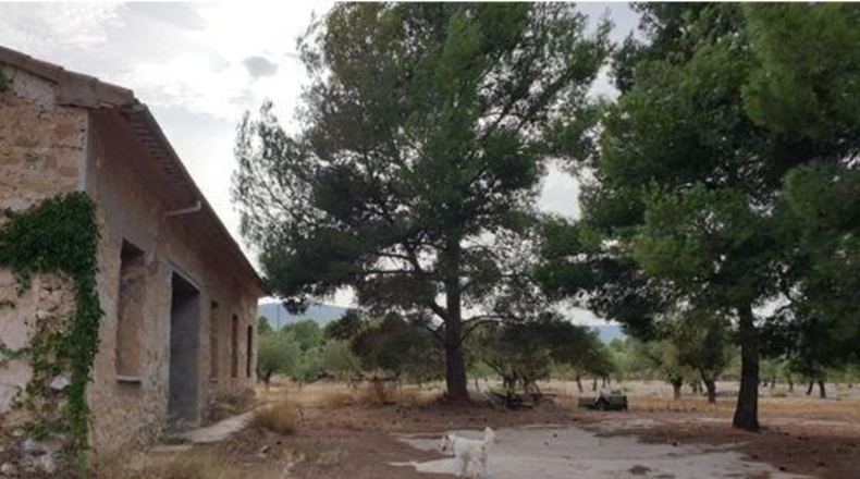 Alicante - Castalla - 240000m2