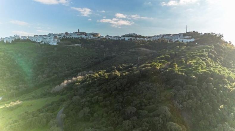 Cádiz - Vejer de la Frontera - 10250m2