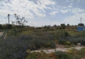 Parcel·la urbanitzable en venda a la España, Múrcia, ref.: TR319928 foto