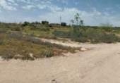 Parcel·la urbanitzable en venda a la España, Múrcia, ref.: TR319928 foto