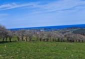 Non-developable land for sale on España, Cabezón de la Sal, ref: TR314272 photo