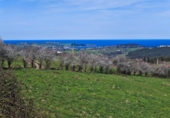 Non-developable land for sale on España, Cabezón de la Sal, ref: TR314272 photo