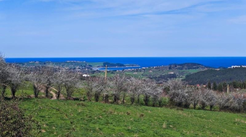 Cantabria - Cabezón de la Sal - 19443m2