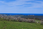 Non-developable land for sale on España, Cabezón de la Sal, ref: TR314272 photo