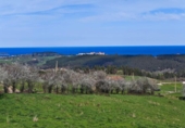Non-developable land for sale on España, Cabezón de la Sal, ref: TR314272 photo