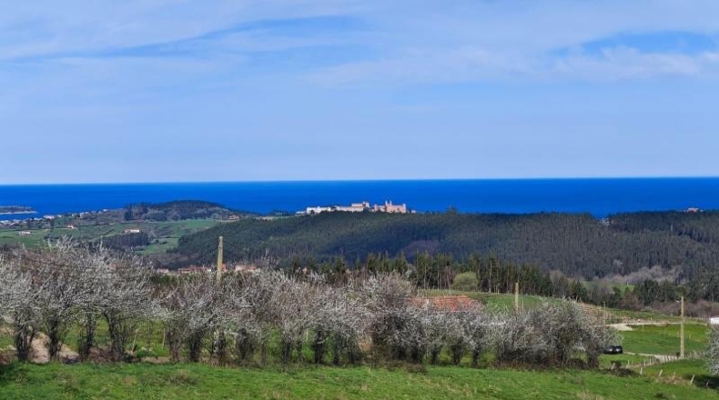 Cantabria - Cabezón de la Sal - 19443m2