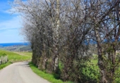 Non-developable land for sale on España, Cabezón de la Sal, ref: TR314272 photo
