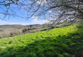 Non-developable land for sale on España, Cabezón de la Sal, ref: TR314272 photo