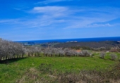 Non-developable land for sale on España, Cabezón de la Sal, ref: TR314272 photo