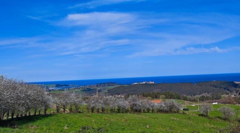 Cantabria - Cabezón de la Sal - 19443m2