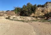Casa amb terreny en venda a la España, Múrcia, ref.: TR212316 foto