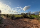 Xalet independent amb terreny en venda a la España, Sencelles, ref.: TR236649 foto