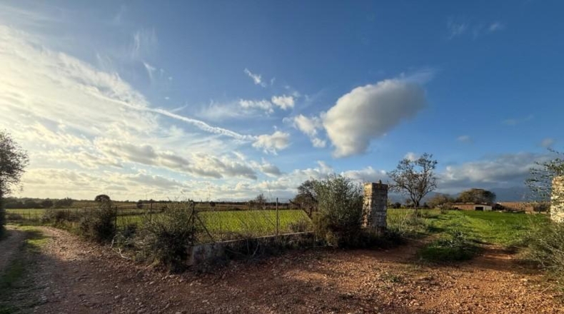 Balearic Islands - Sencelles - 43732m2