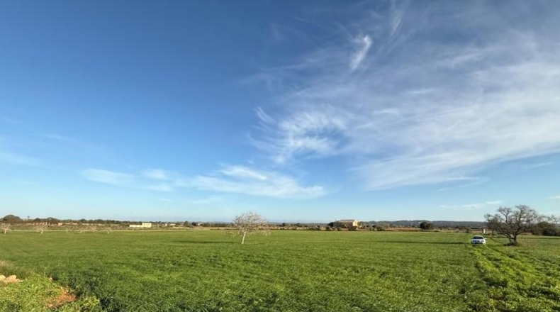 Balearic Islands - Sencelles - 43732m2
