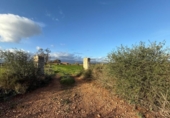 Xalet independent amb terreny en venda a la España, Sencelles, ref.: TR236649 foto
