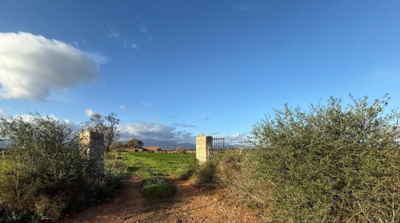 Balearic Islands - Sencelles - 43732m2