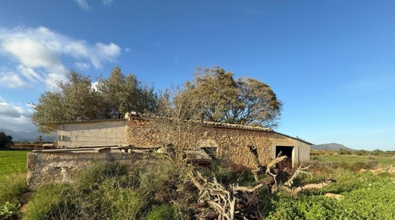 Balearic Islands - Sencelles - 43732m2