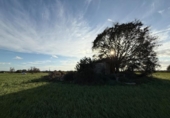 Xalet independent amb terreny en venda a la España, Sencelles, ref.: TR236649 foto
