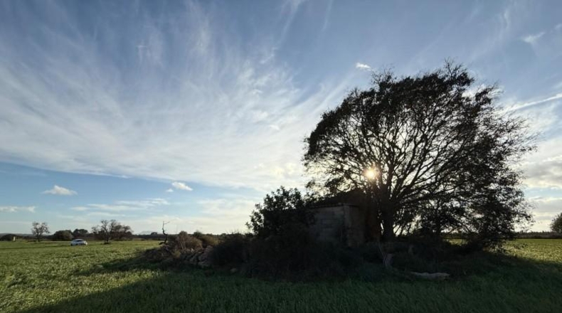 Balearic Islands - Sencelles - 43732m2